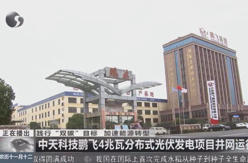 践行“双碳”目标 加速能源转型 suncitygroup太阳集团,太阳集团4兆瓦分布式光伏发电项目并网运行