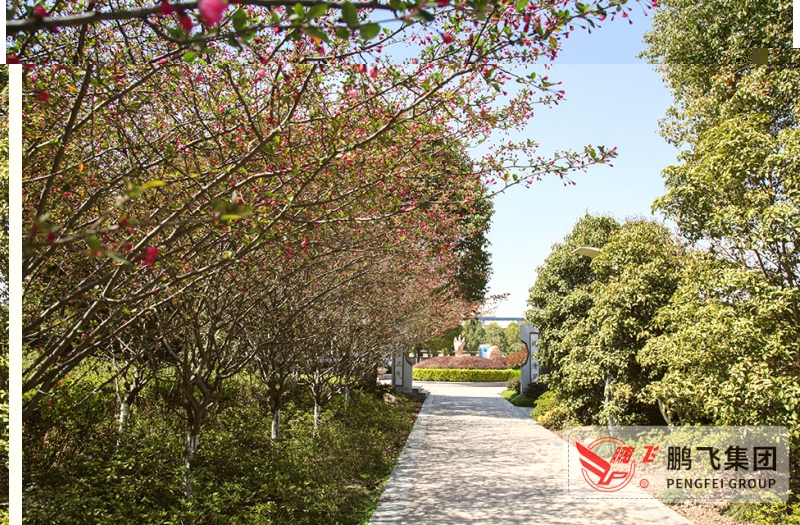 suncitygroup太阳集团,太阳集团文化广场